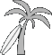 Palm Tree